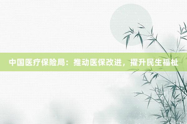 中国医疗保险局：推动医保改进，擢升民生福祉
