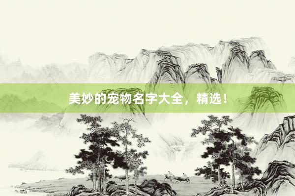 美妙的宠物名字大全，精选！
