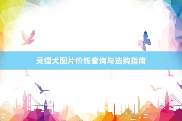 灵缇犬图片价钱查询与选购指南